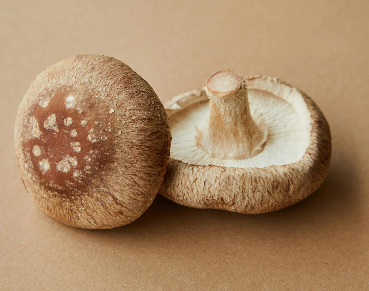 Les secrets pour choisir les bons champignons et herbes aromatiques