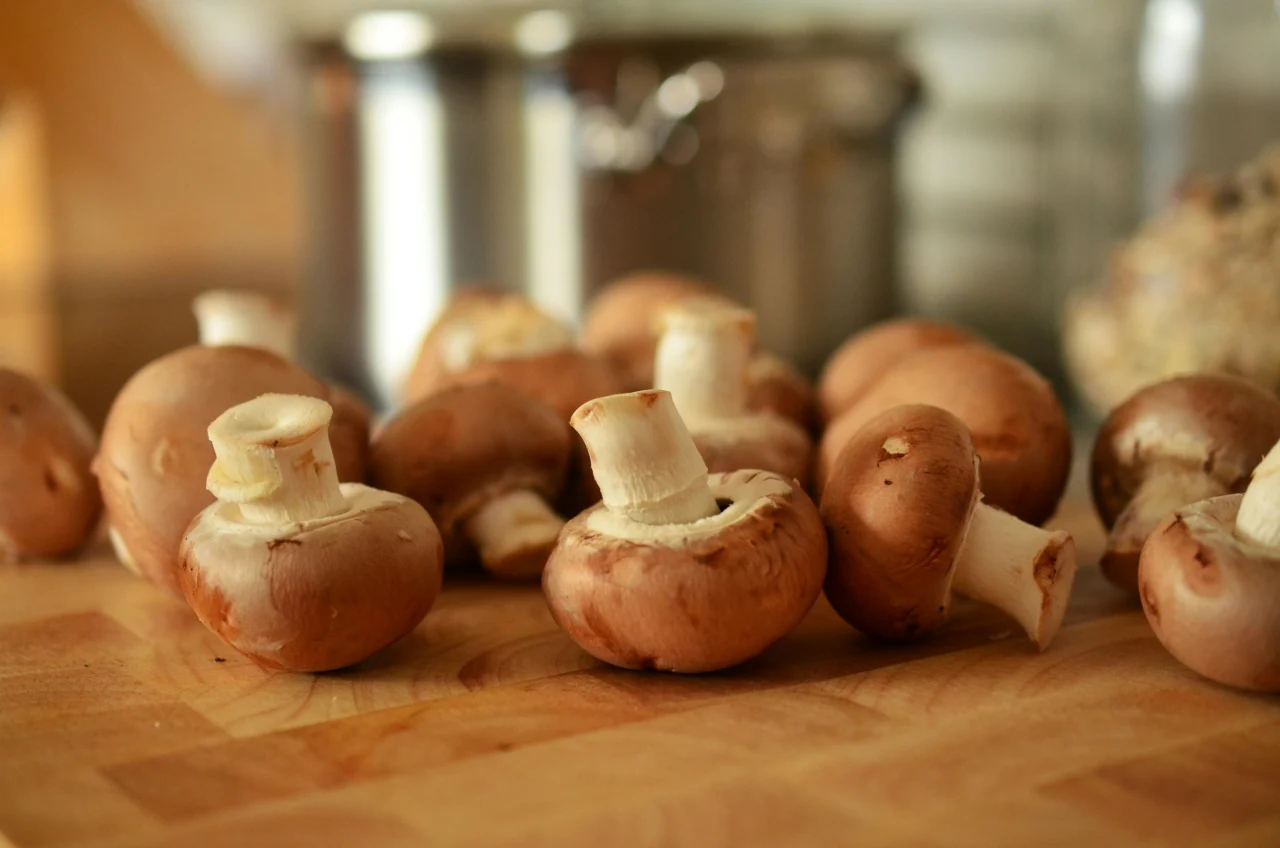 Trois idées de farces festives aux champignons et herbes pour un repas de Noël réussi